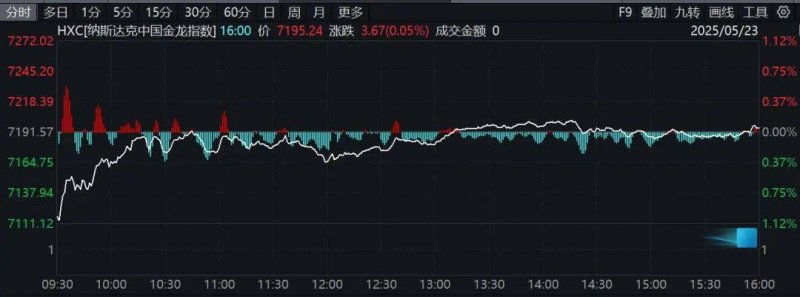 今日外汇行情波动，市场理财者该如何应对？